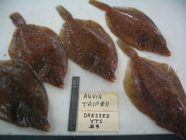 1526265411228288.jpg 20110322140436501.jpg